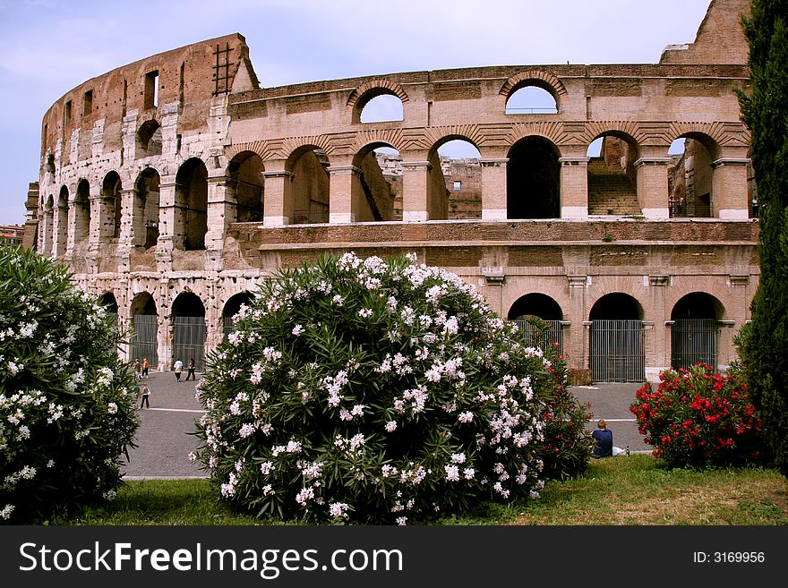 Famous attraction in Rome, Italy - Colosseum which is inscribed on UNESCO World Heritage list. Beautiful flowers on the foreground. Famous attraction in Rome, Italy - Colosseum which is inscribed on UNESCO World Heritage list. Beautiful flowers on the foreground.