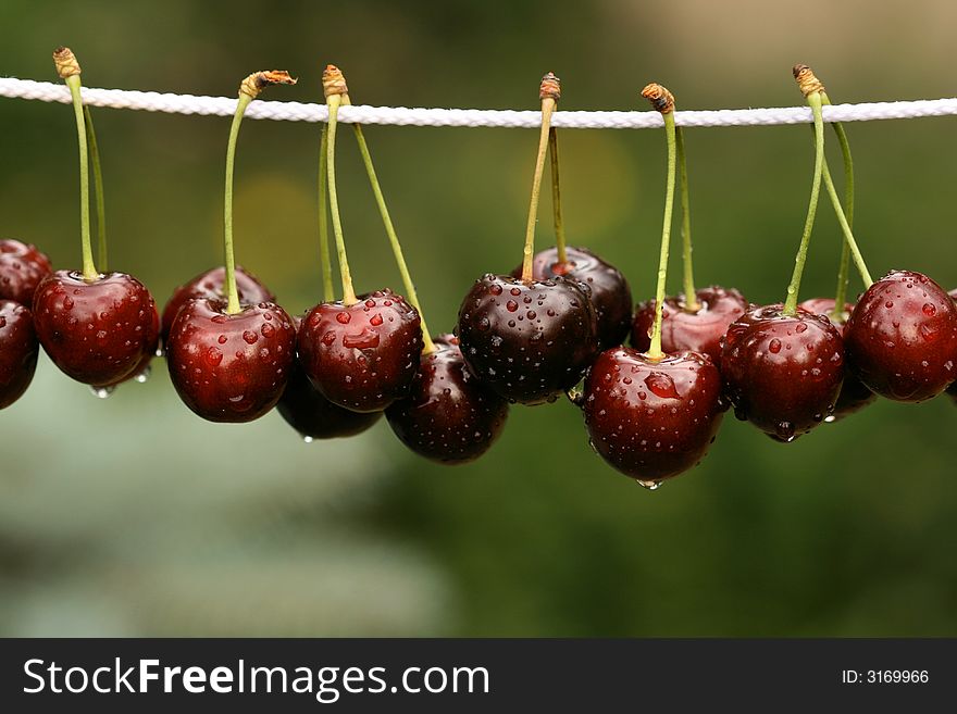 Row Of Tasty Cherries