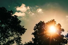 Sunset Over Tree With Sky And Clouds Stock Photos Sunset Over Tree With Sky And Clouds Stock Photos