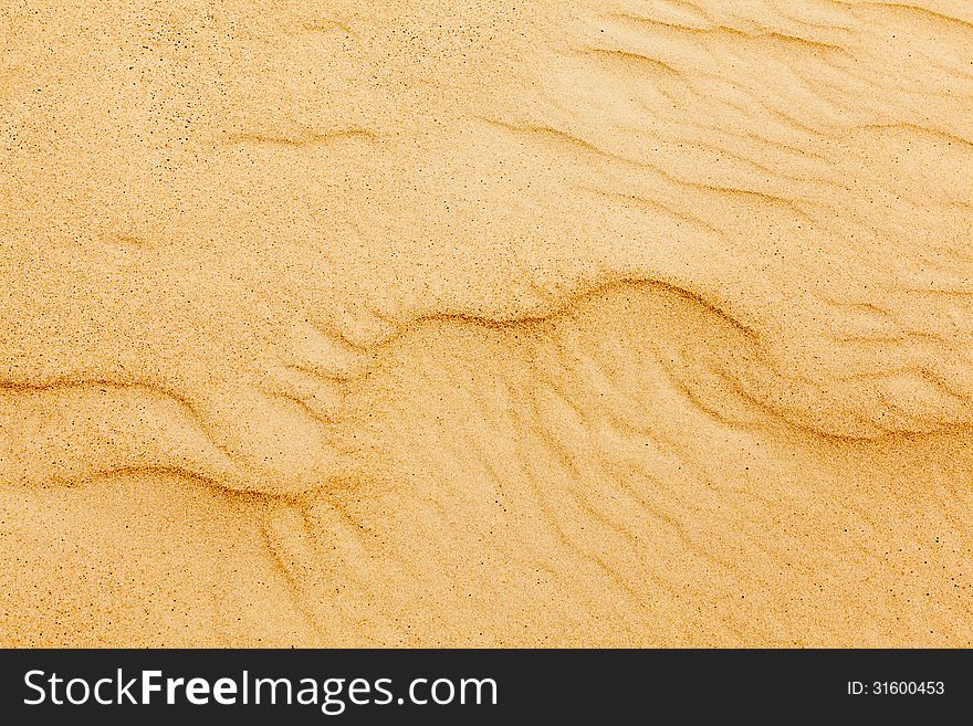 Forms In The Sand