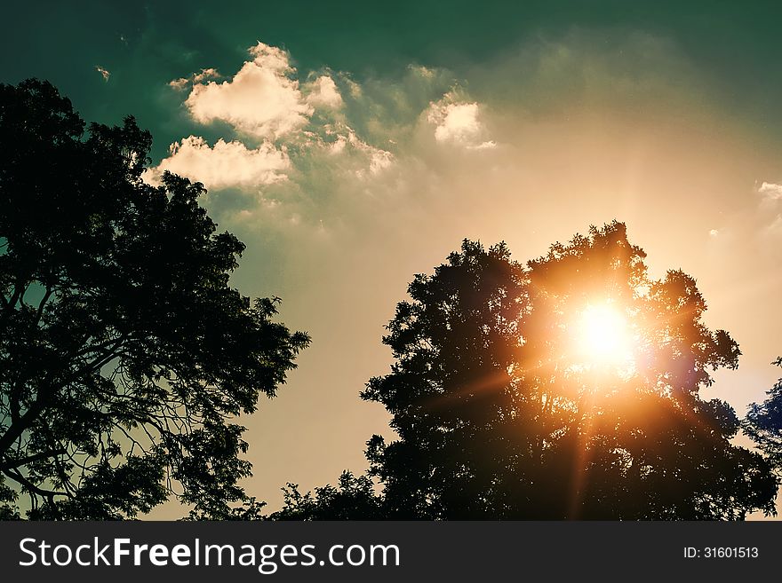 Sunset Over Tree With Sky And Clouds