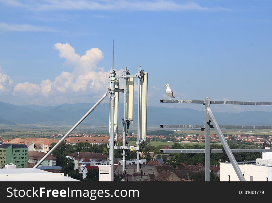 Seagull standing near antennas