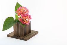 Kalanchoe And Wood Block Royalty Free Stock Images Kalanchoe And Wood Block Royalty Free Stock Images