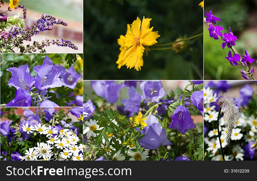 Spring Flowers