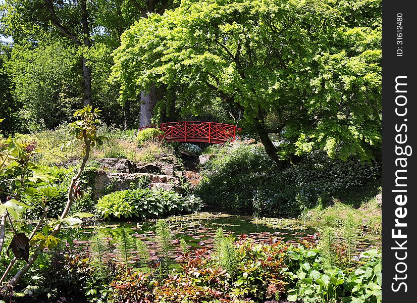 Tranquil scene with Lily pond and japanese bridge. Tranquil scene with Lily pond and japanese bridge