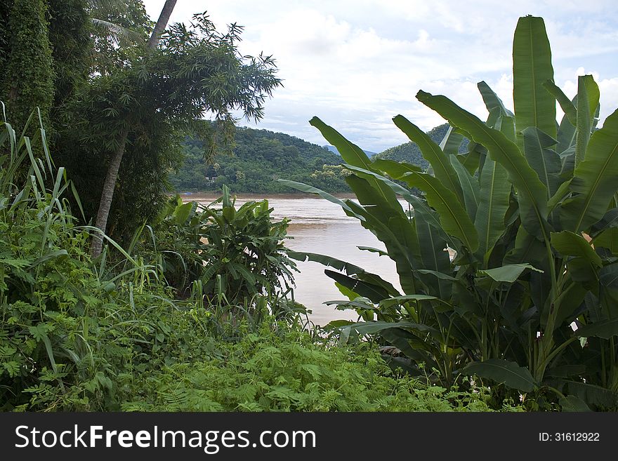 Mekong in Luang Prabang