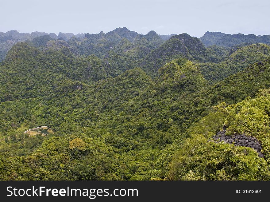 Panorama Of Cat Ba National Park