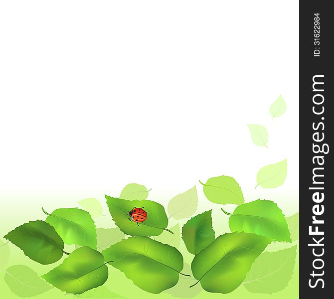 Summer background with green leaves. Vector illustration