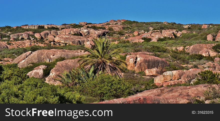 Landscape with granite boulders at St Helena Bay South Africa