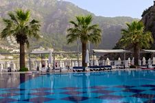 Palm Trees At Swimming Pool Royalty Free Stock Image Palm Trees At Swimming Pool Royalty Free Stock Image