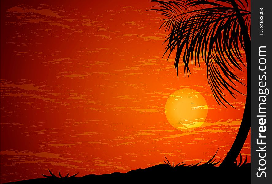 Illustration beautiful sunset nature background
