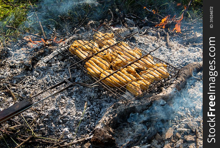 Juicy roasted kebabs on the BBQ