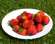 Fresh Strawberry Fruits Royalty Free Stock Photo