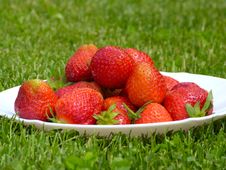 Strawberry Fruits Royalty Free Stock Photography