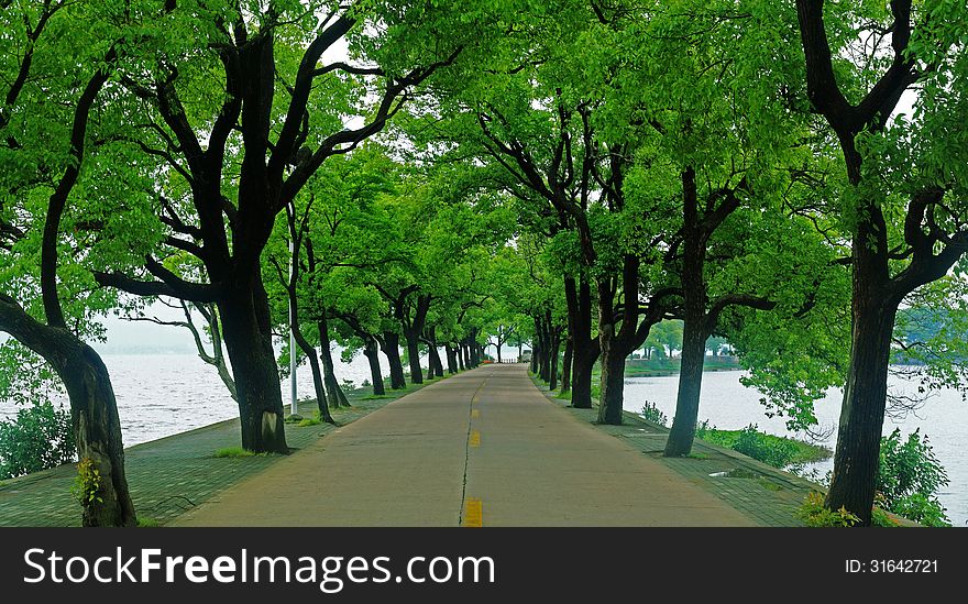 road by the lake