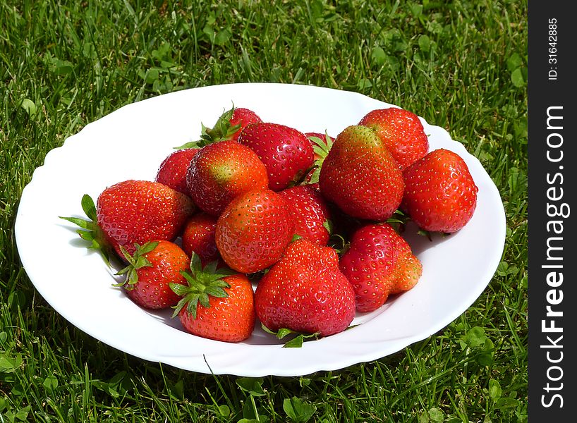 Plate full of fresh strawberries on the green lawn. Plate full of fresh strawberries on the green lawn