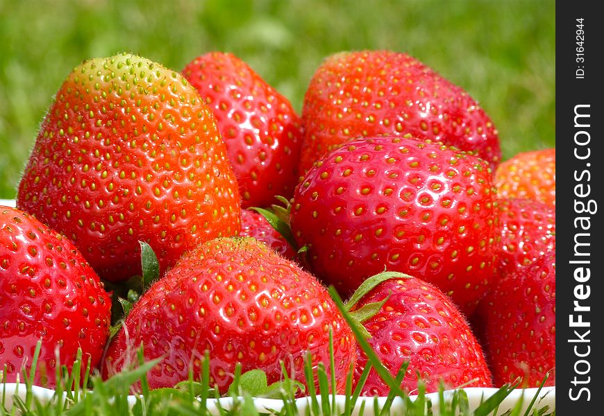 Plate full of fresh strawberries on the green lawn