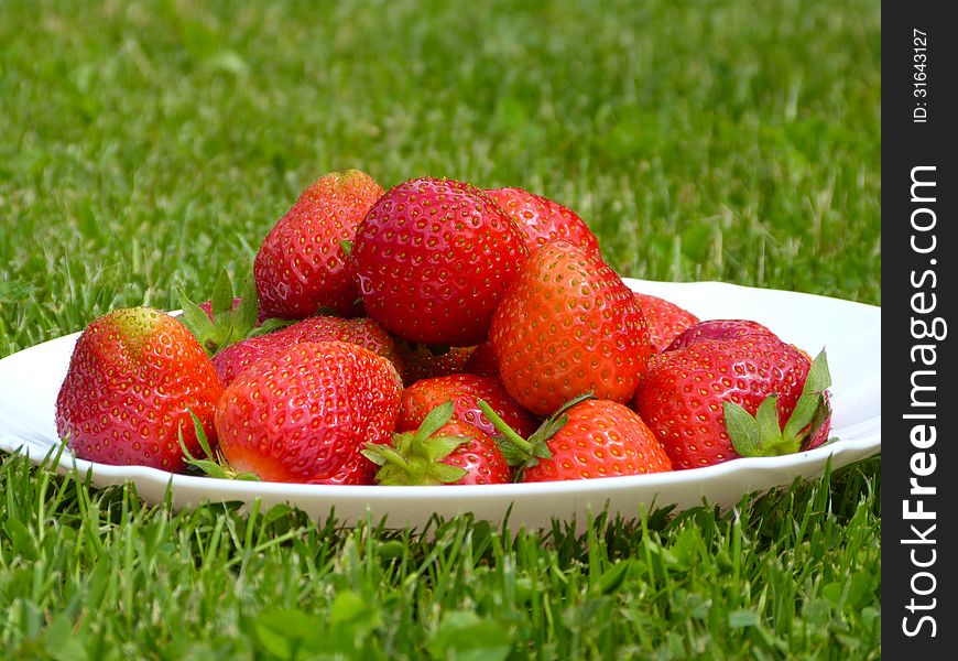 Plate full of fresh strawberries on the green lawn. Plate full of fresh strawberries on the green lawn