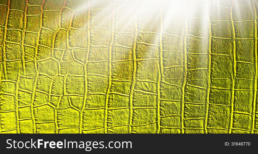 Sunlight in gold leather texturefor background