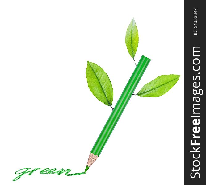 Green pencil with green leaves isolated on a white background