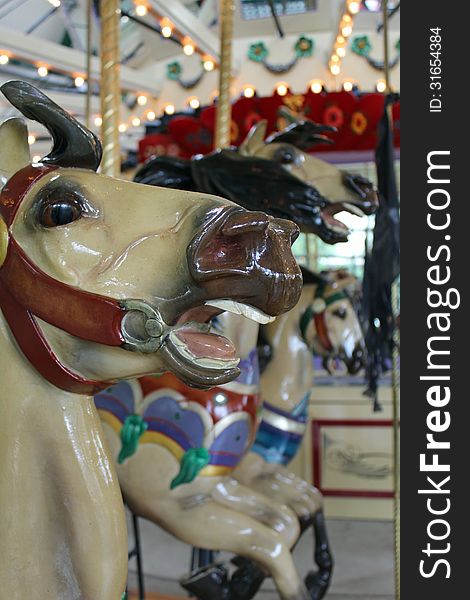 Close up of a vintage carousel horse. Close up of a vintage carousel horse