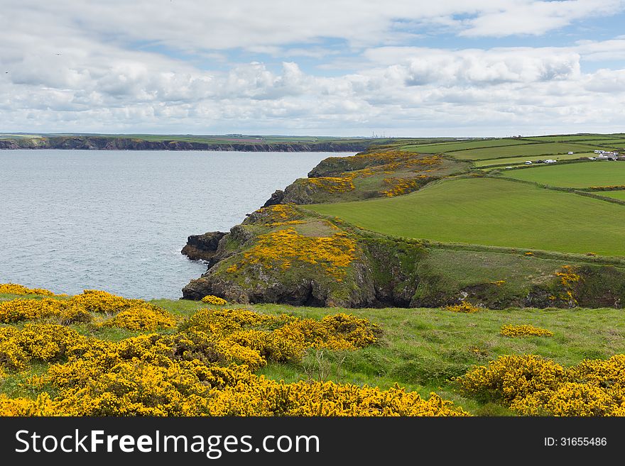 Marloes and St Brides bay West Wales coast near Skoma island. If you miss the ferry to the island these views are found on the walk on the mainland