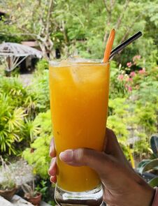 Orange Juice With Garden Background Royalty Free Stock Images