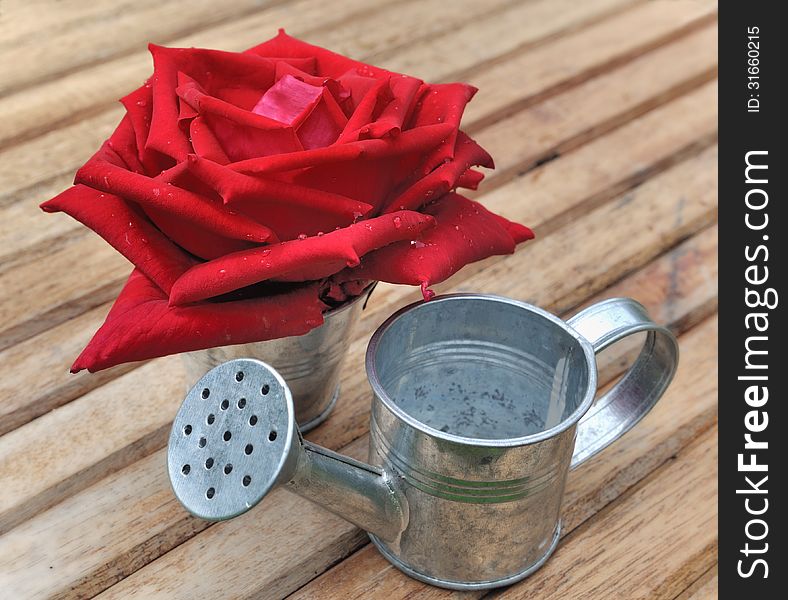 Red rose in small metal pot placed on a wooden table. Red rose in small metal pot placed on a wooden table