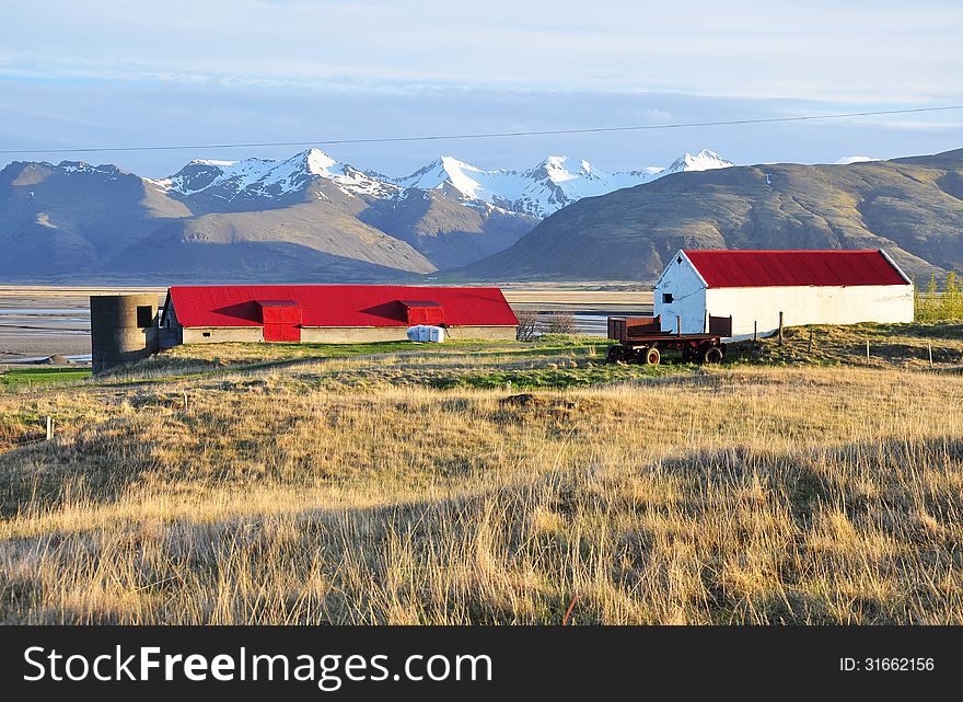 Icelandic farms with red roof. Icelandic farms with red roof