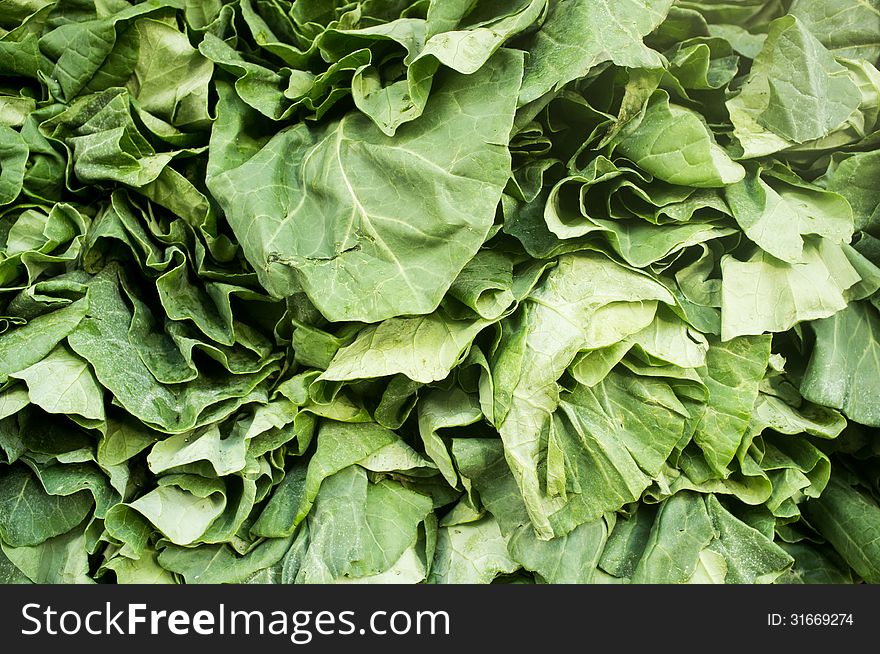 Close up photograph of a Fresh Bunch of Spinach. Close up photograph of a Fresh Bunch of Spinach