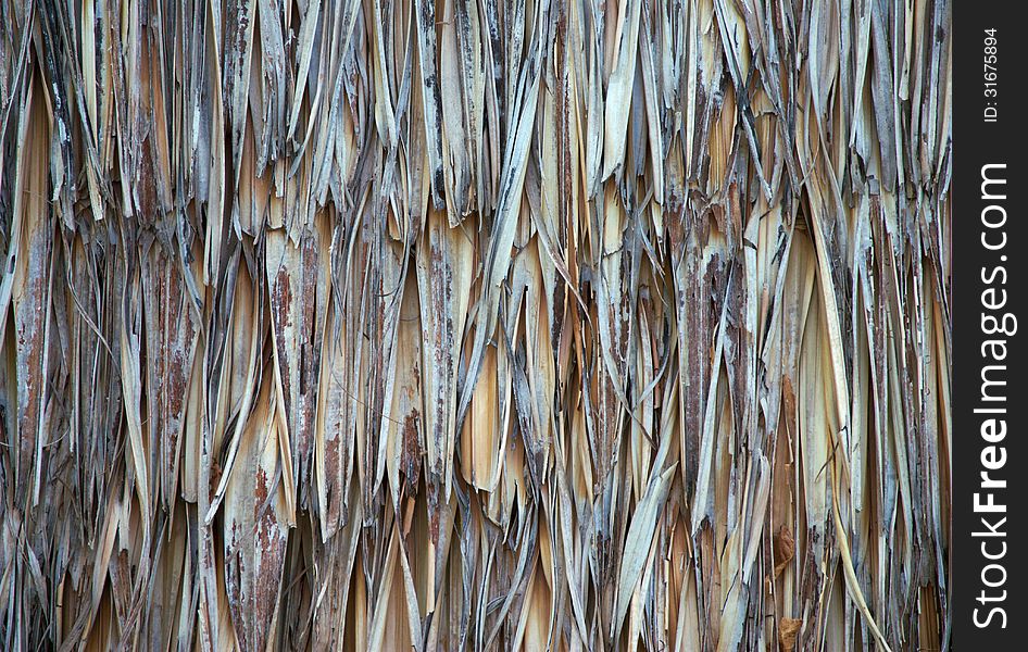 Close up straw background. Texture of straw. Close up straw background. Texture of straw