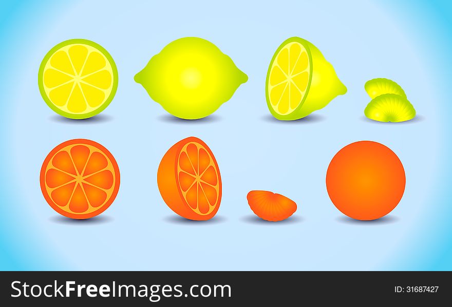 Lemon lime  orange cutted  citrus set. Lemon lime  orange cutted  citrus set