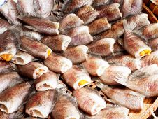 Salted Fish. Royalty Free Stock Image