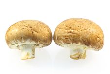 Free Brown Mushroom Stock Photography - 31693652