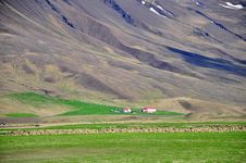 Icelandic Houses And Mountains Stock Photo