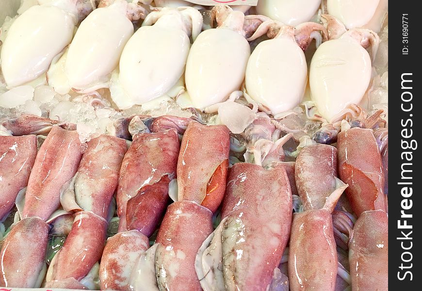 Cuttlefish and squid are arranged in rows. The cuttlefish are above and the other below.