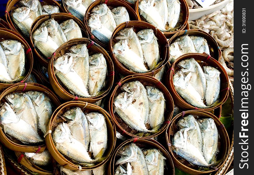 Short - Bodied Mackerel