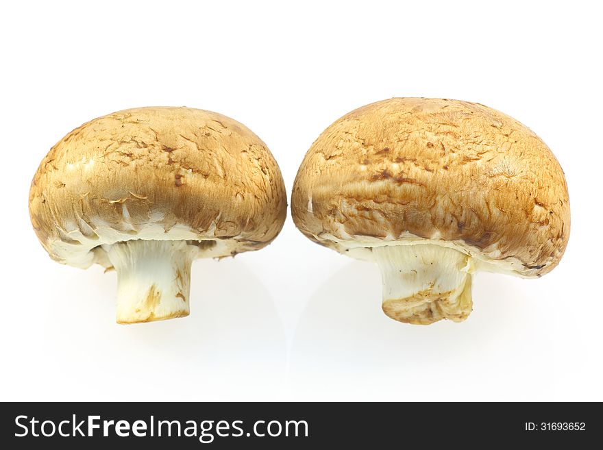 Two brown mushroom isolated on a white background