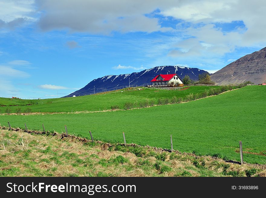 Red white house and mountain in Iceland