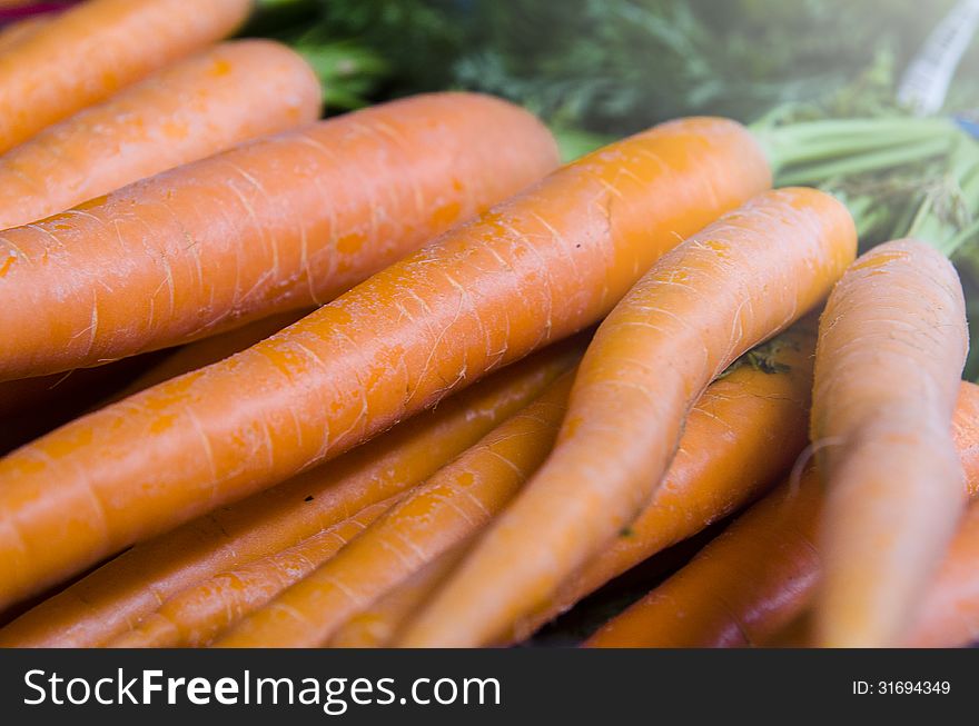 Close-up Carrots