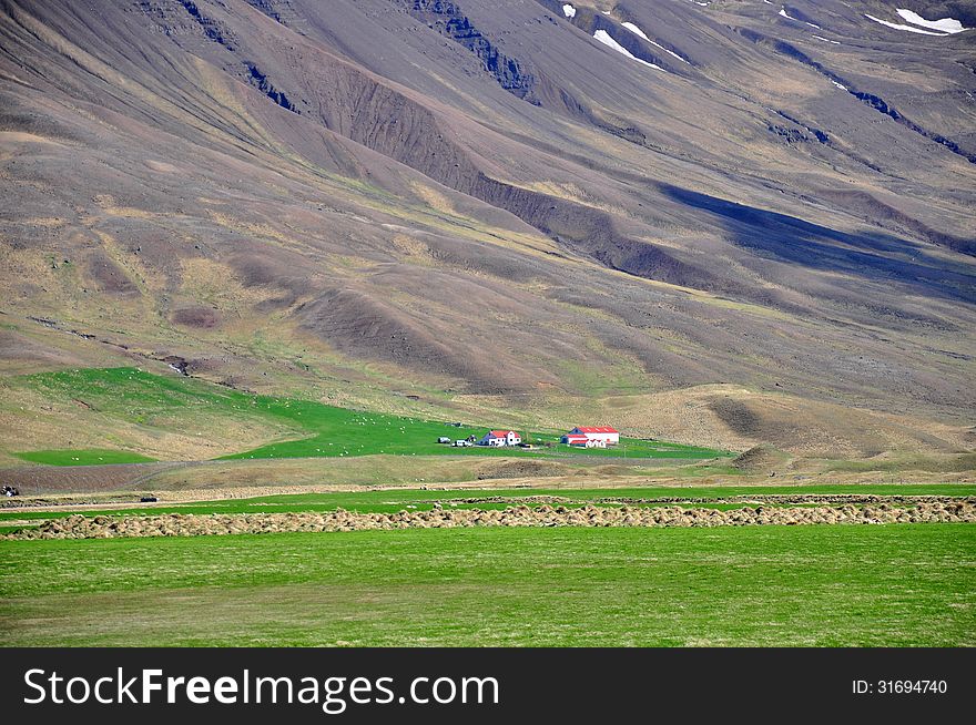 Icelandic red white houses and mountains. Icelandic red white houses and mountains