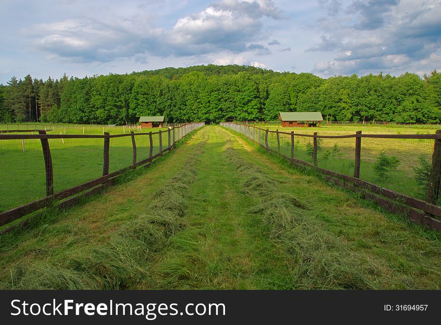 Meadow, Fencing, Hut, Path