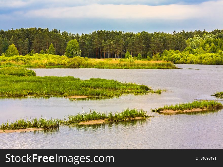 Summer Forest River With Small Islands. Summer Forest River With Small Islands