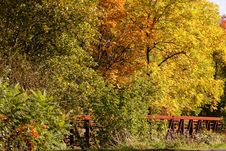 Fall Autumn Colors Stock Photo Fall Autumn Colors Stock Photo