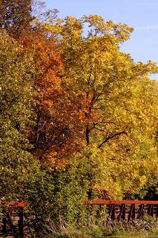 Fall Autumn Colors Royalty Free Stock Photo Fall Autumn Colors Royalty Free Stock Photo