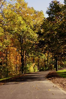 Fall Foliage Royalty Free Stock Photography Fall Foliage Royalty Free Stock Photography