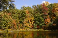 Fall Colors Royalty Free Stock Photo Fall Colors Royalty Free Stock Photo