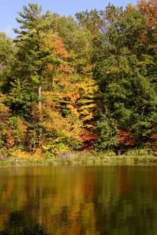 Fall Colors Stock Photos Fall Colors Stock Photos
