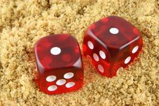 Snake Eyes Royalty Free Stock Image Snake Eyes Royalty Free Stock Image