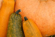 Pumpkin Background Stock Photo Pumpkin Background Stock Photo